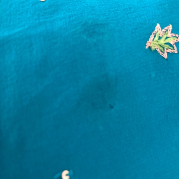 Aqua georgette crepe blend Saree Vintage [firm] - Picture 11 of 13